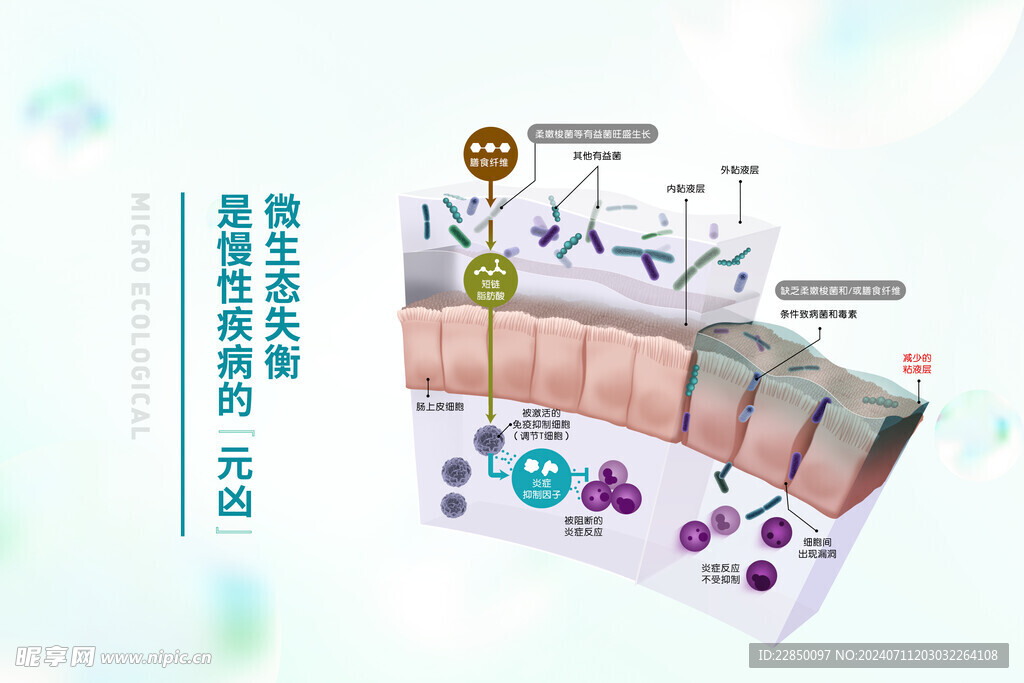 微生态失衡海报