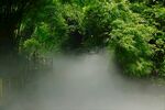 川西竹海