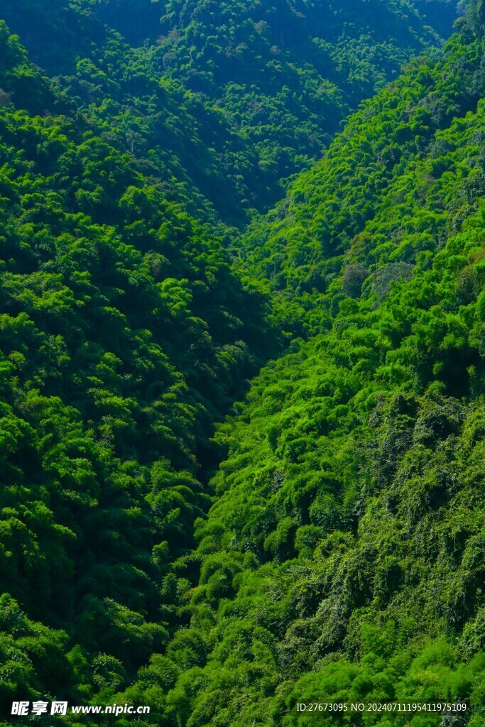 川西竹海