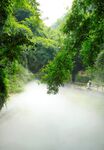 川西竹海