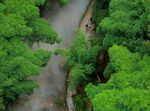 川西竹海