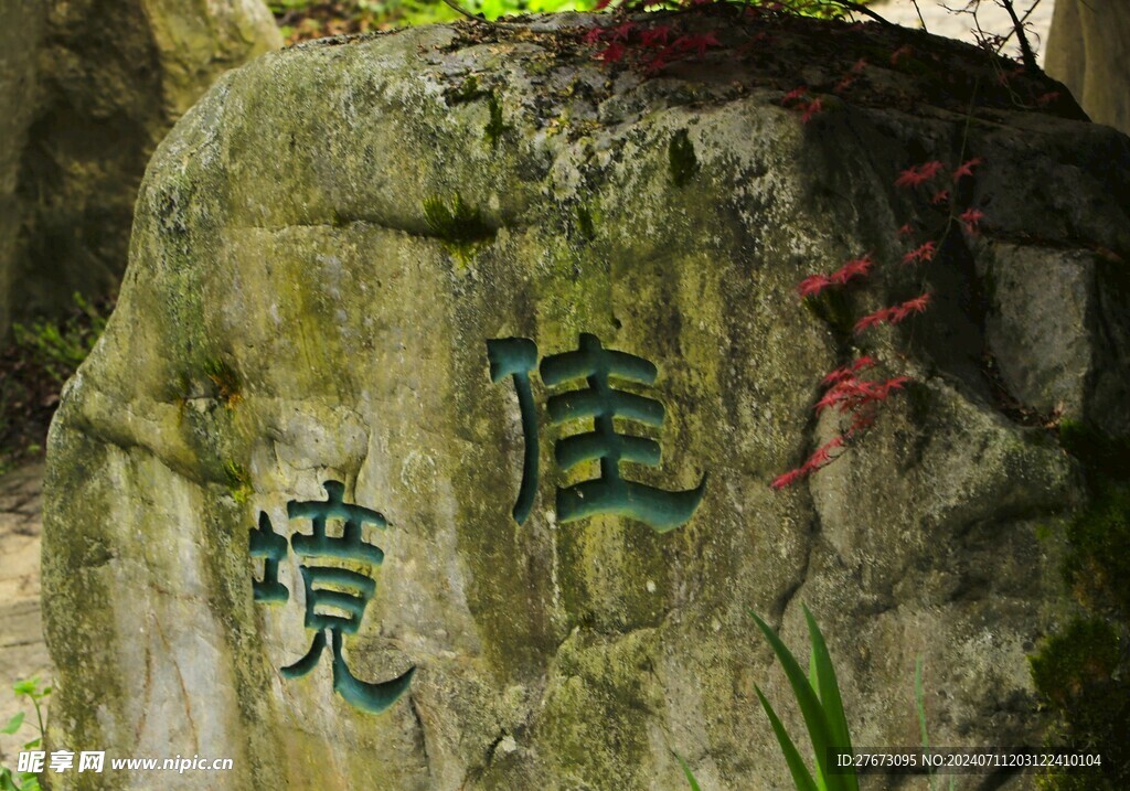 红枫林