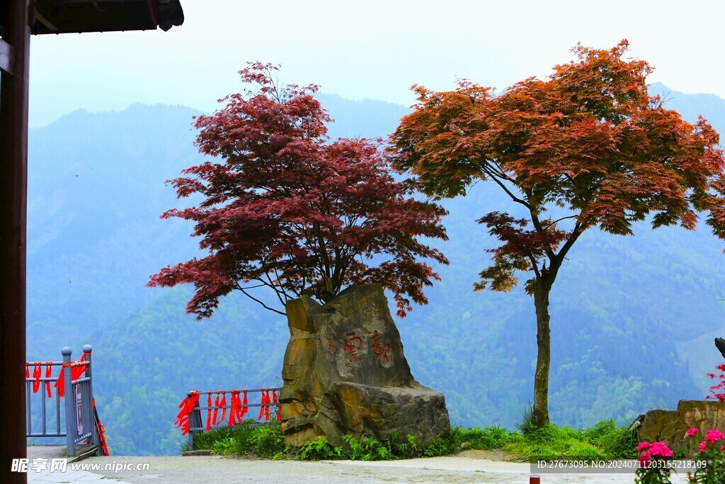 红枫林