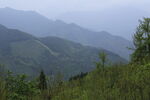 红枫林