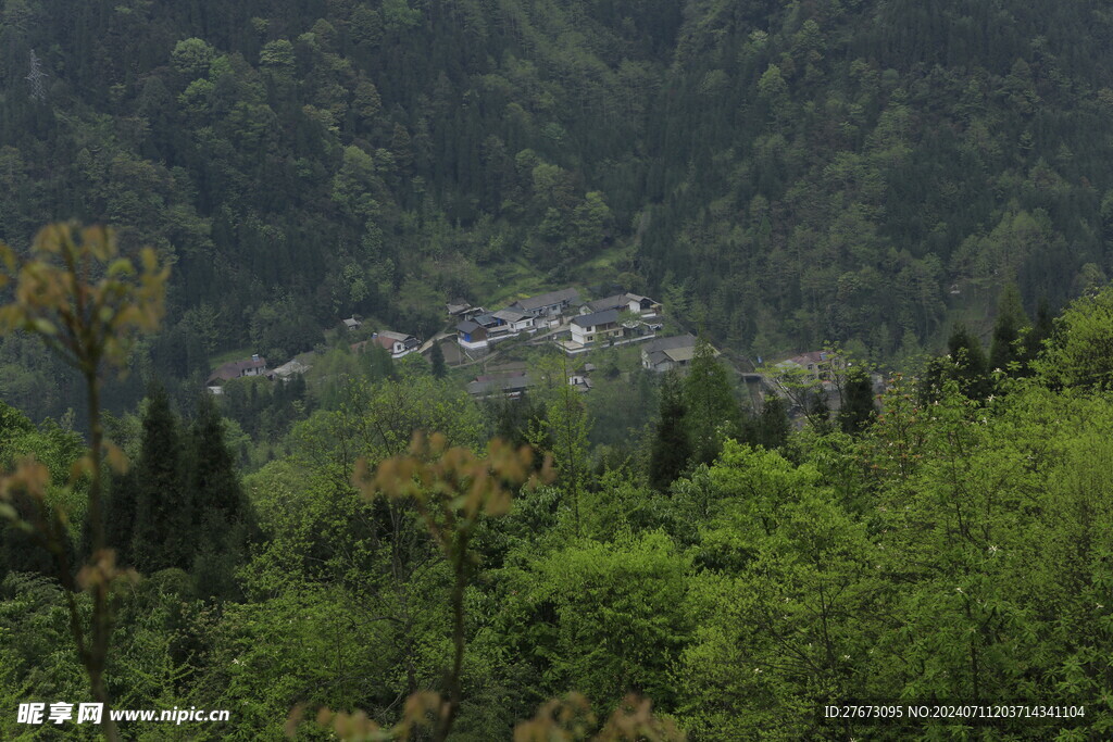 红枫林