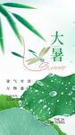 大暑节气海报