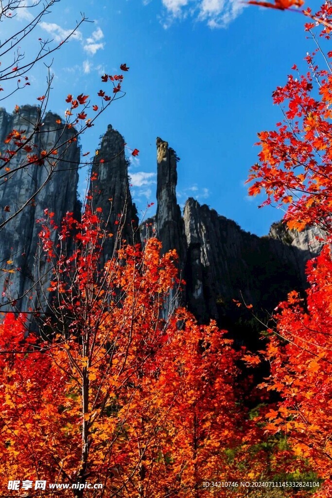 七星寨秋景