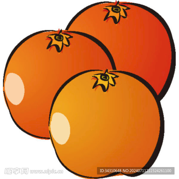 脐橙橘子橙子秋季冬季水果免扣 