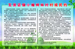 村规民约