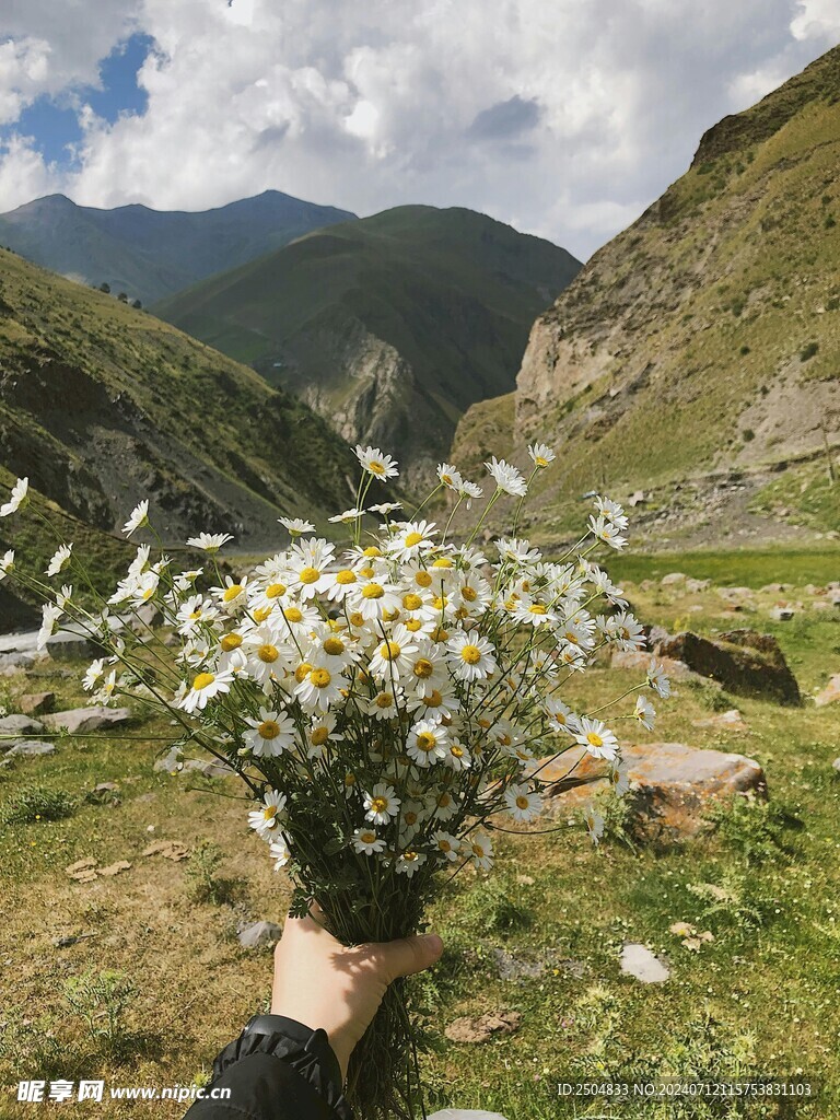 黄春菊