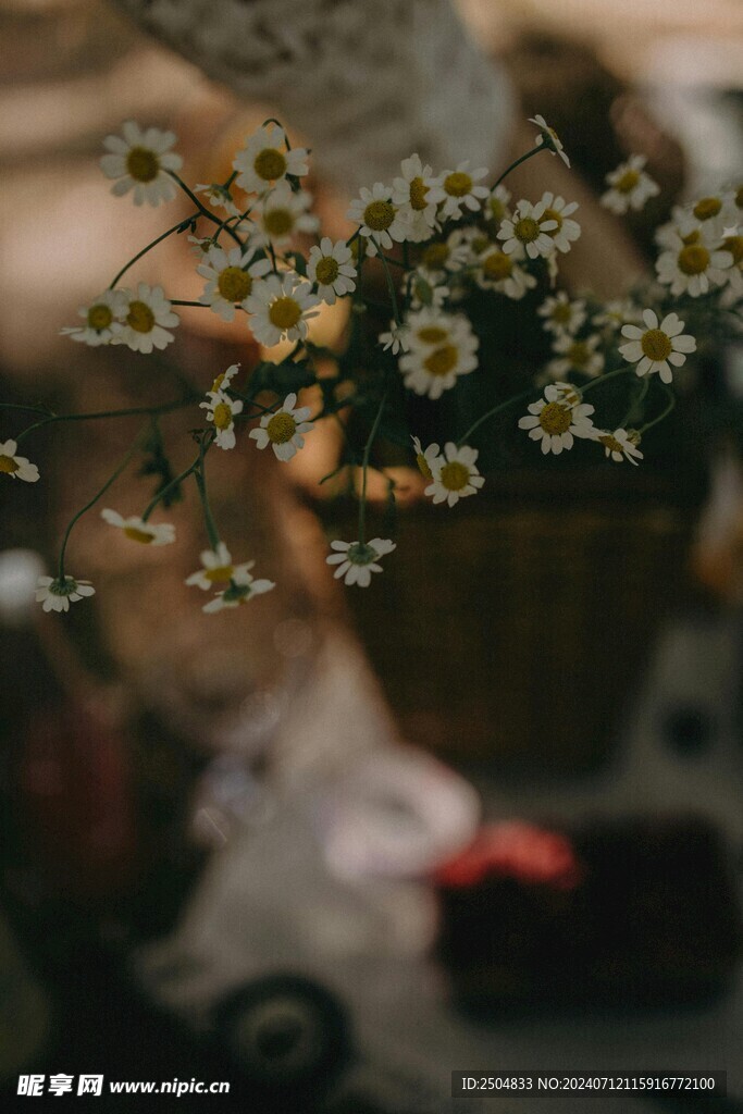 黄春菊