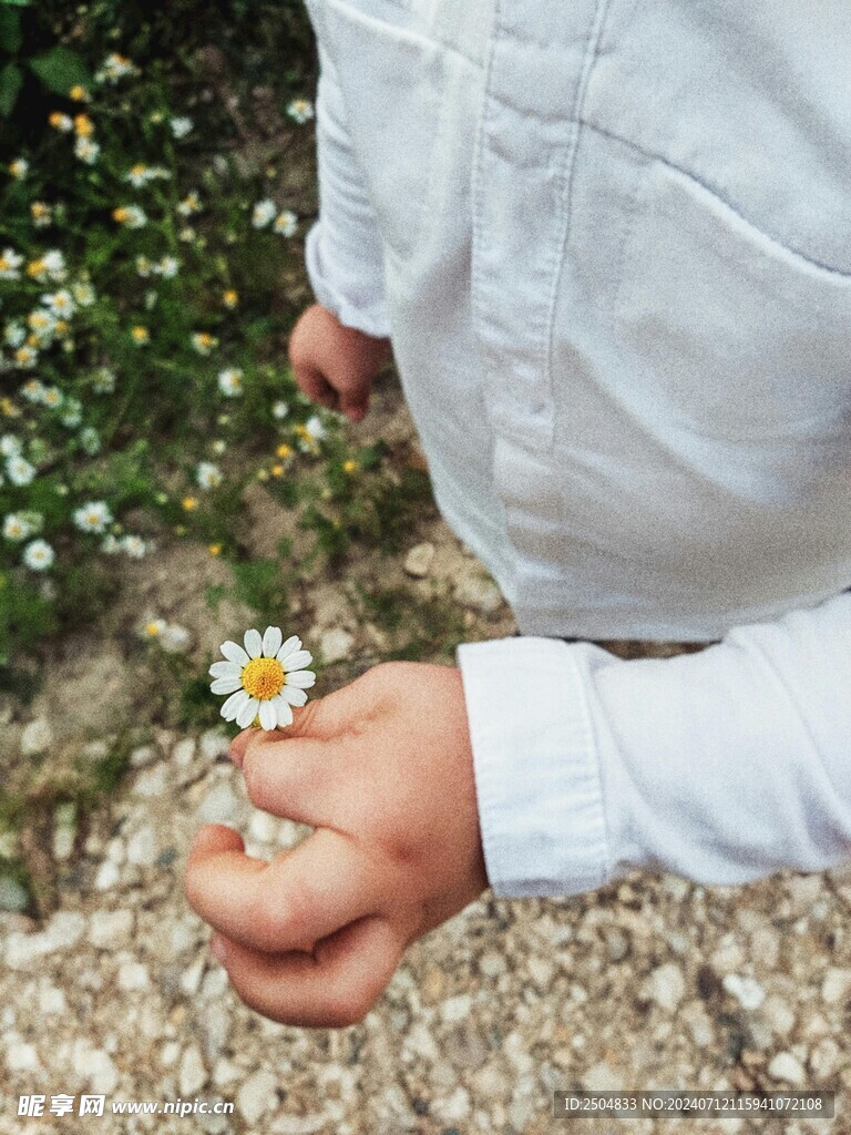 黄春菊