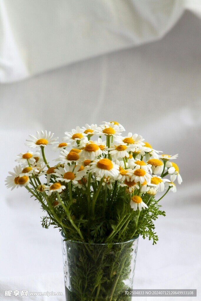 黄春菊