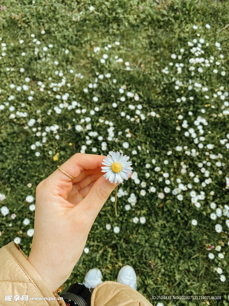 黄春菊