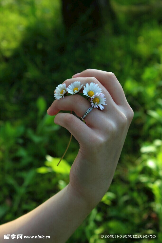 黄春菊