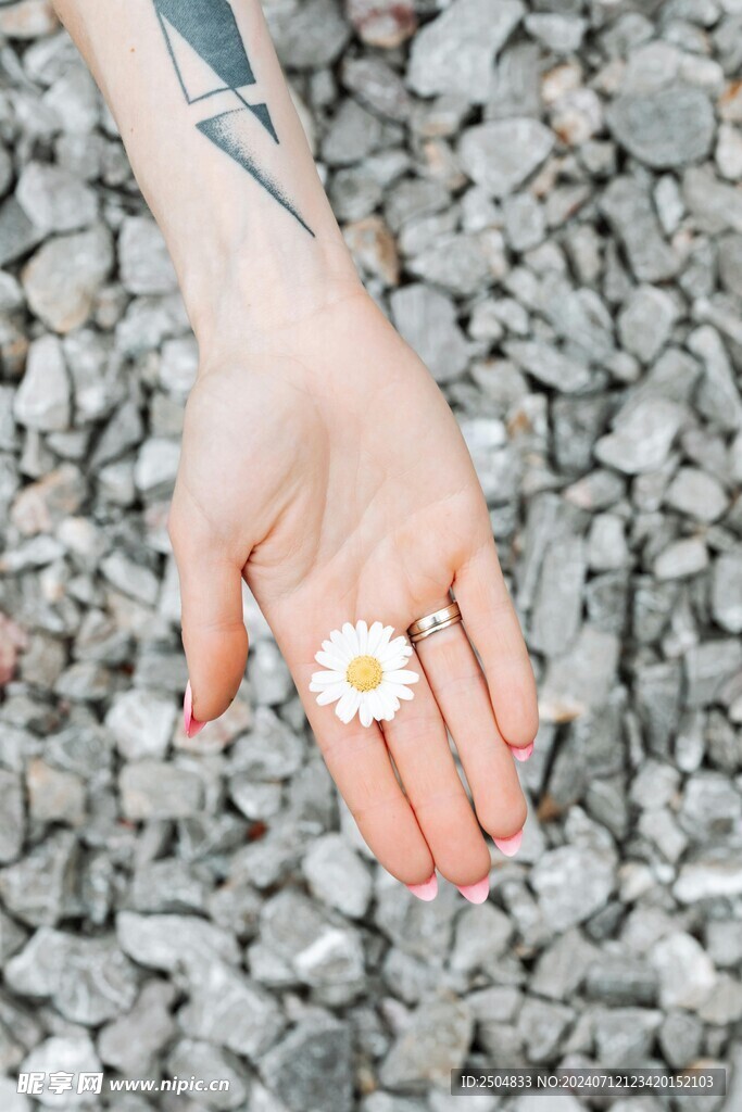 黄春菊