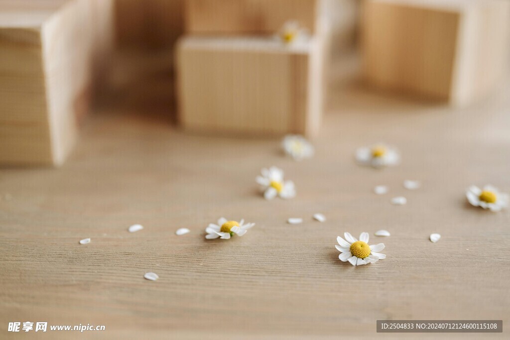 黄春菊