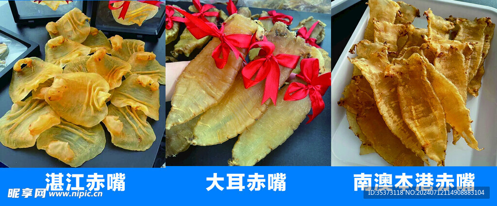 海参 湛江赤嘴  大耳赤嘴 