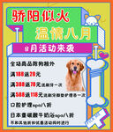 宠物店活动