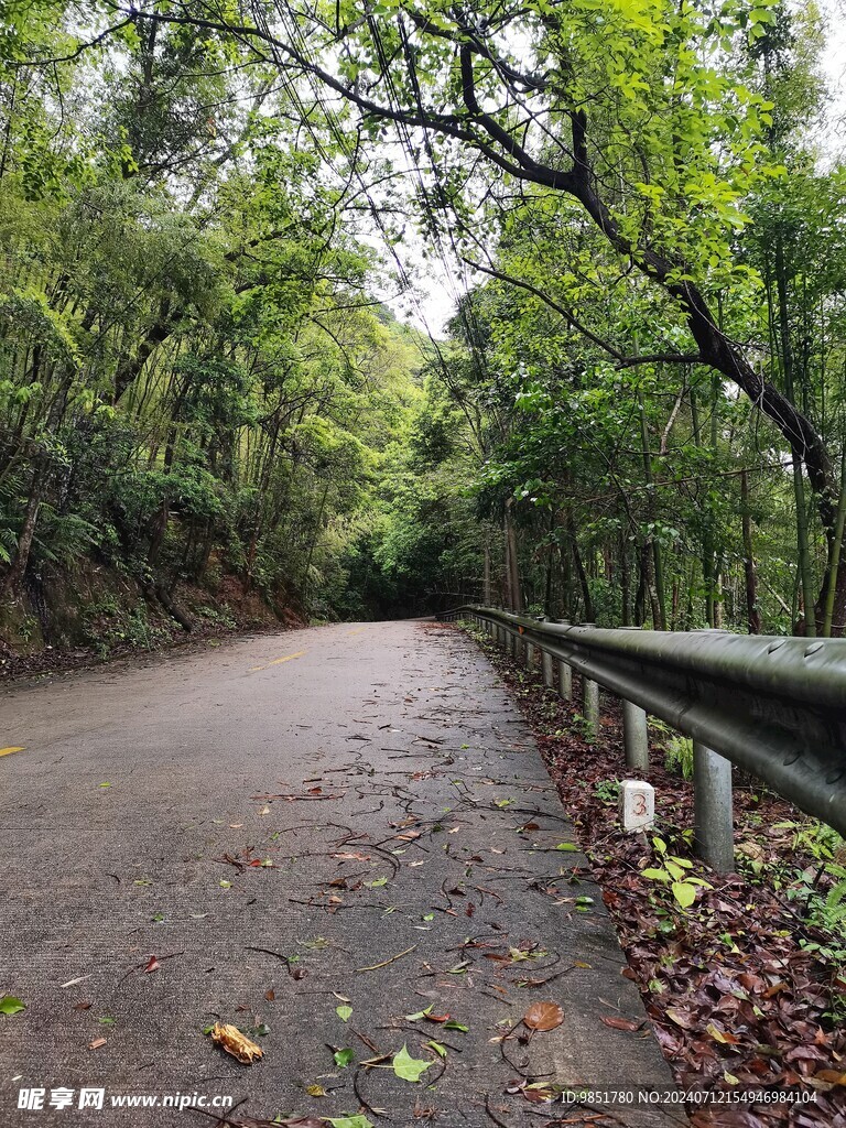 林间道路风景摄影