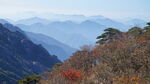  山