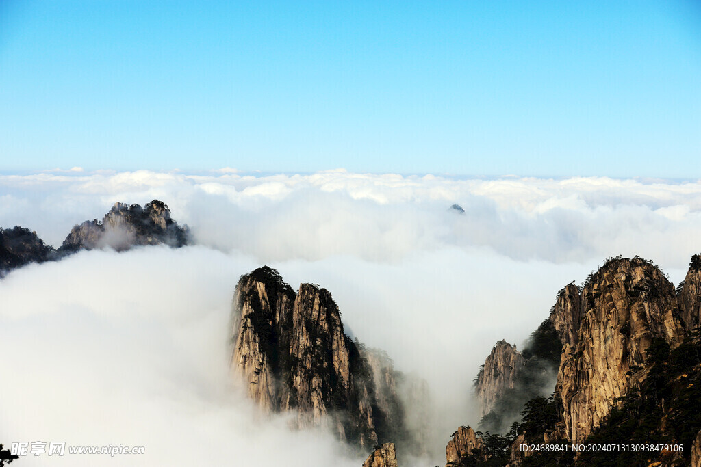 山