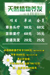 天然植物养发