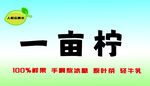 柠檬茶