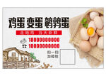 鸡蛋变蛋名片  