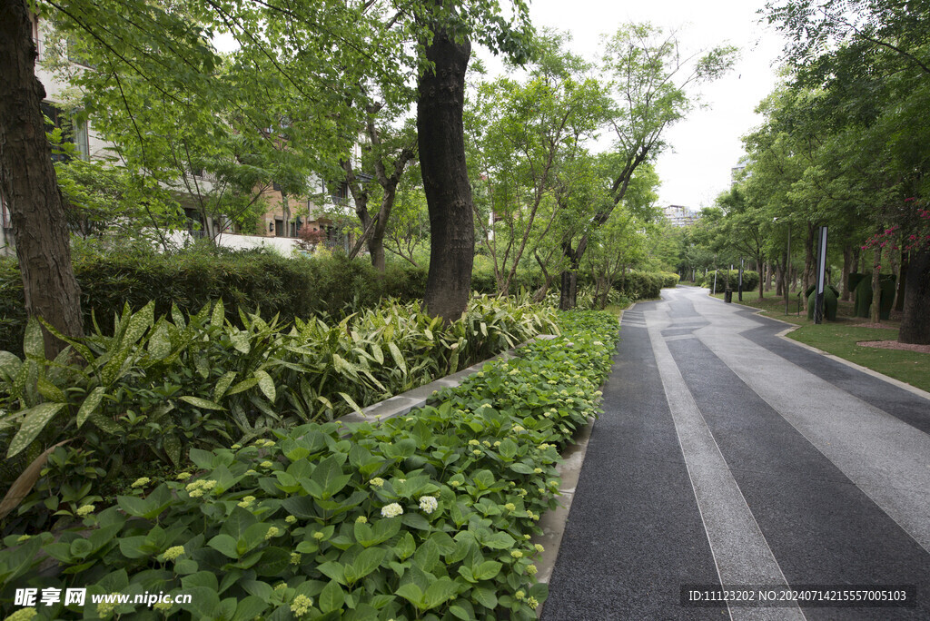 林荫步道