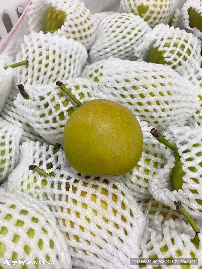 梨子