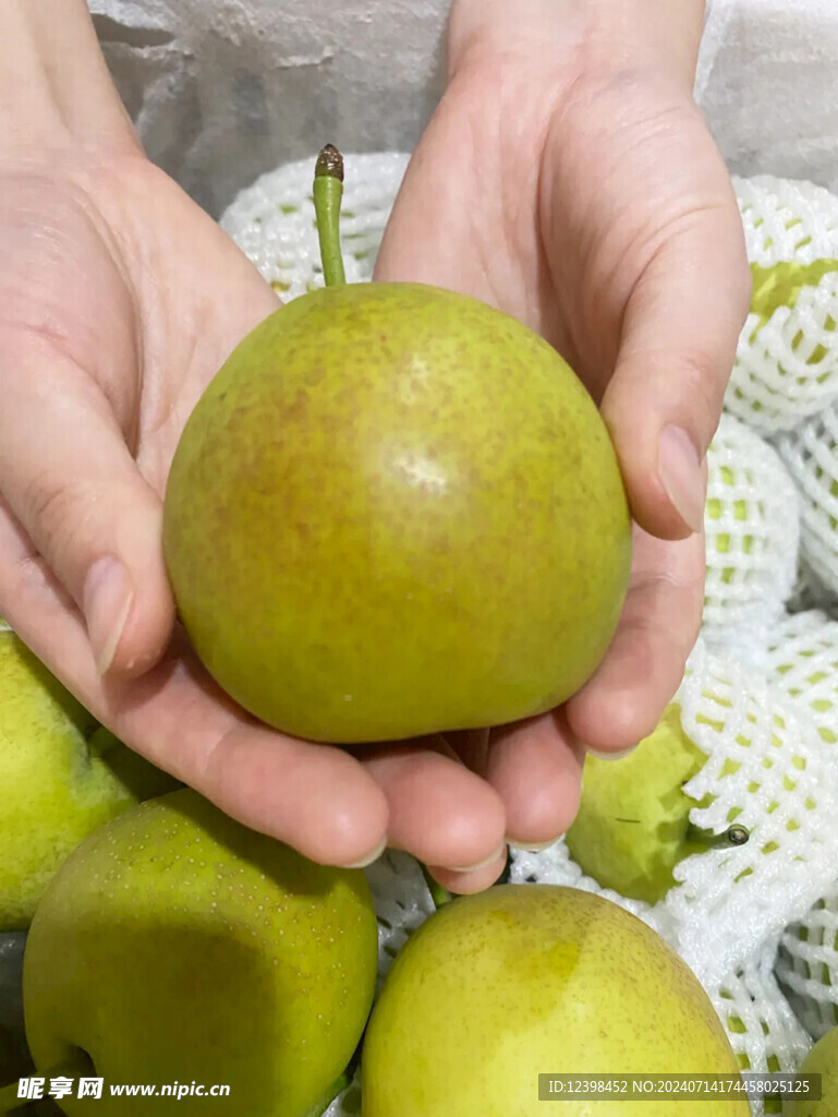 梨子