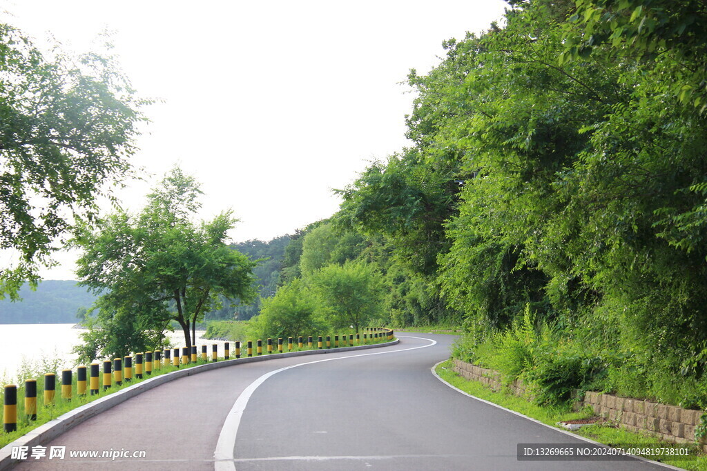 森林公路