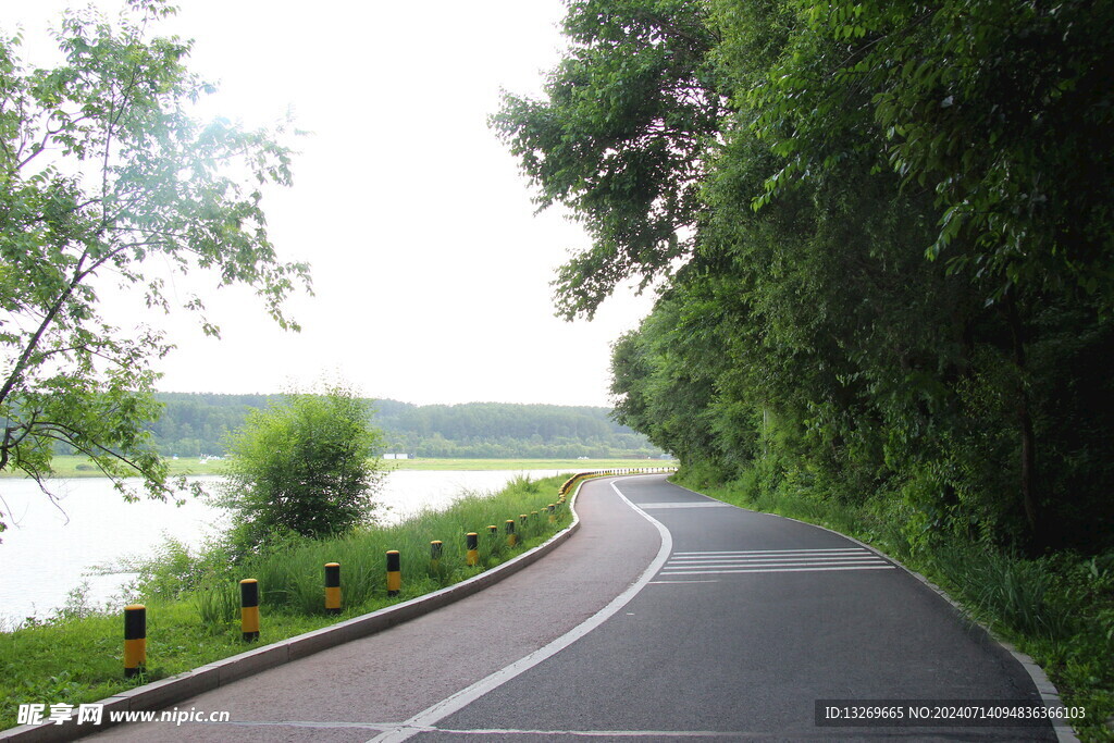 森林公路