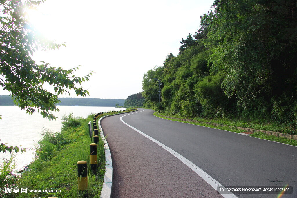 森林公路