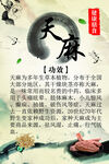 天麻药用功效
