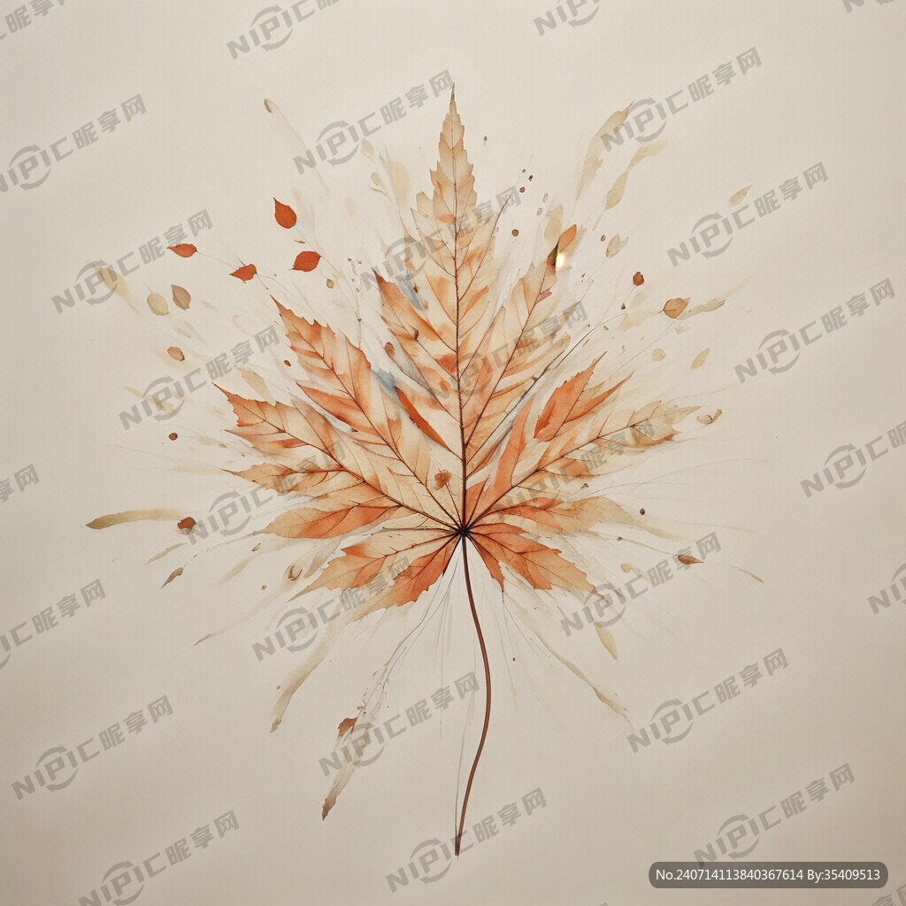 一叶知秋 枫叶 柿子 简约