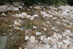 山泉水