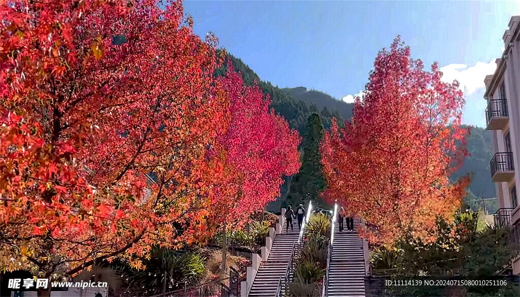 新西兰皇后镇秋景