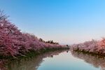 湖景