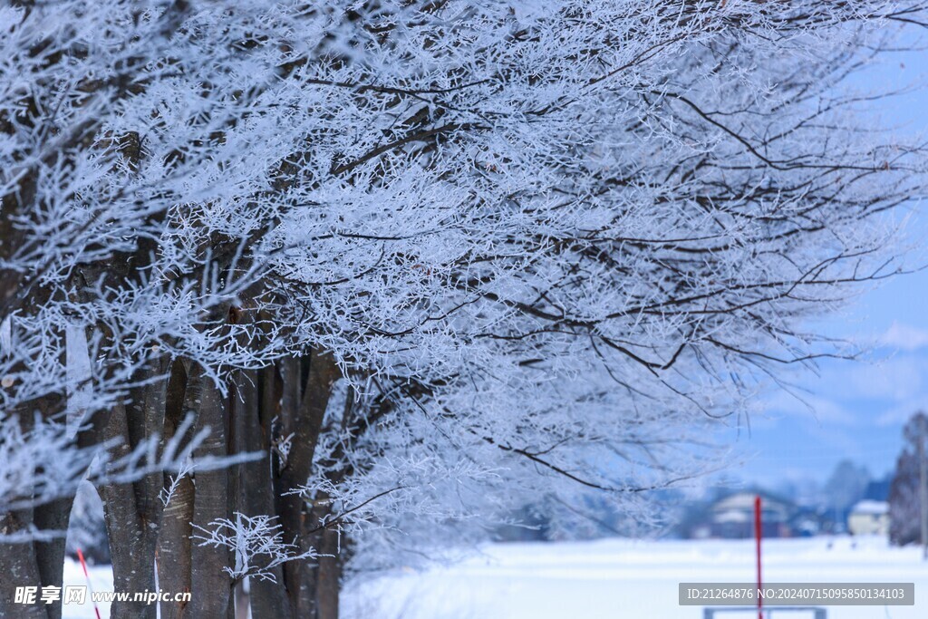 雪景