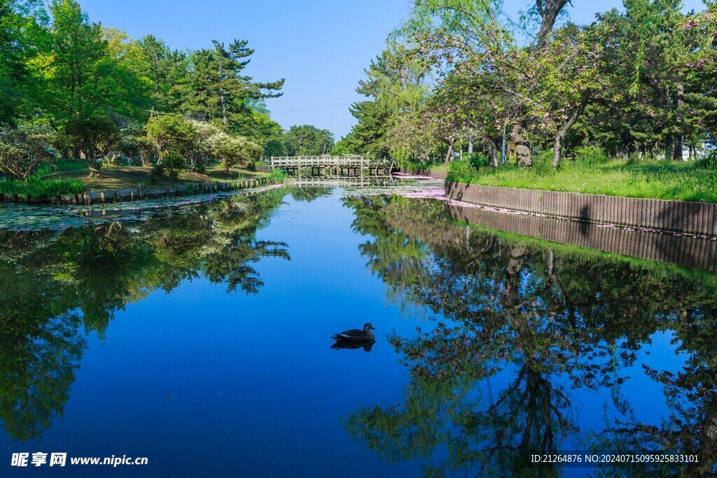 湖景