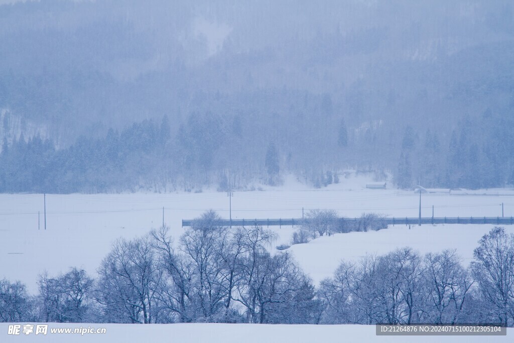 雪景