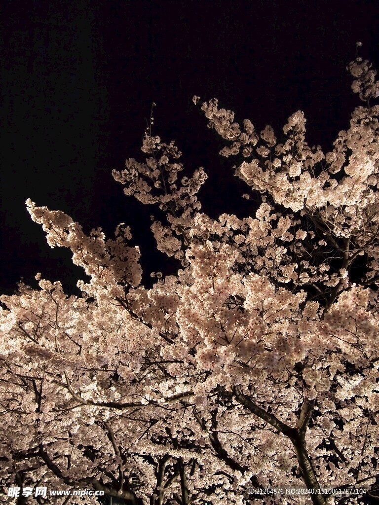 白色桃花