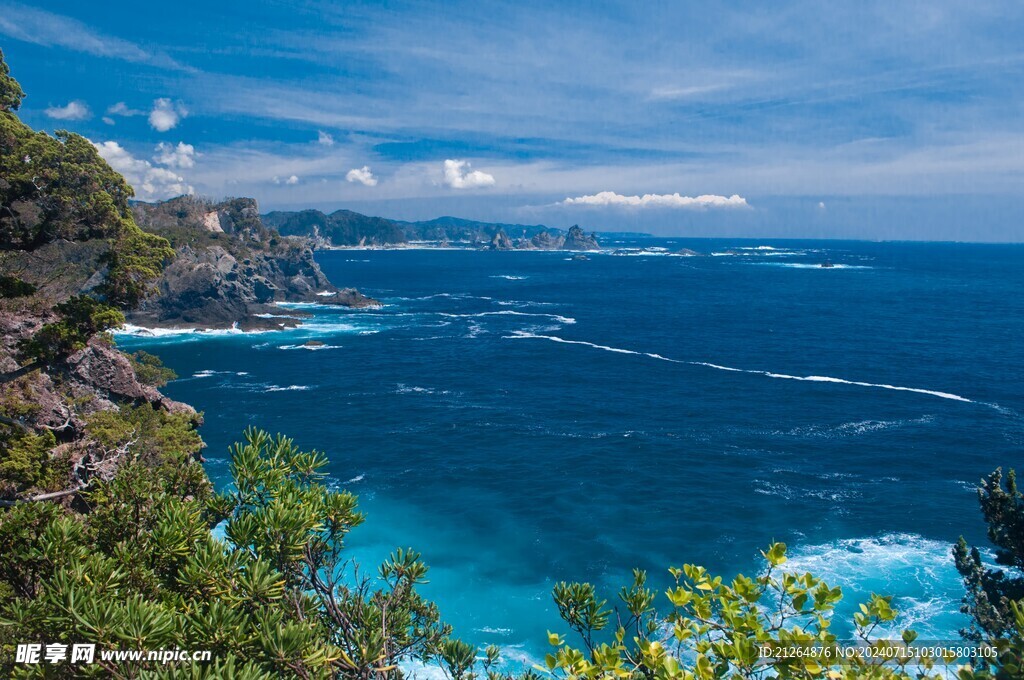 大海