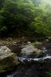 森林美景