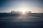 黄昏雪地