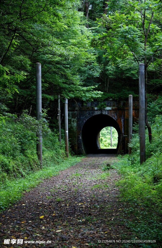 森林隧道