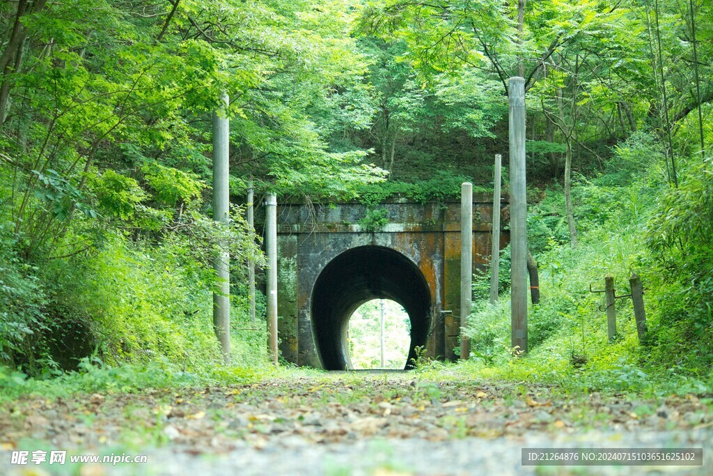森林隧道 