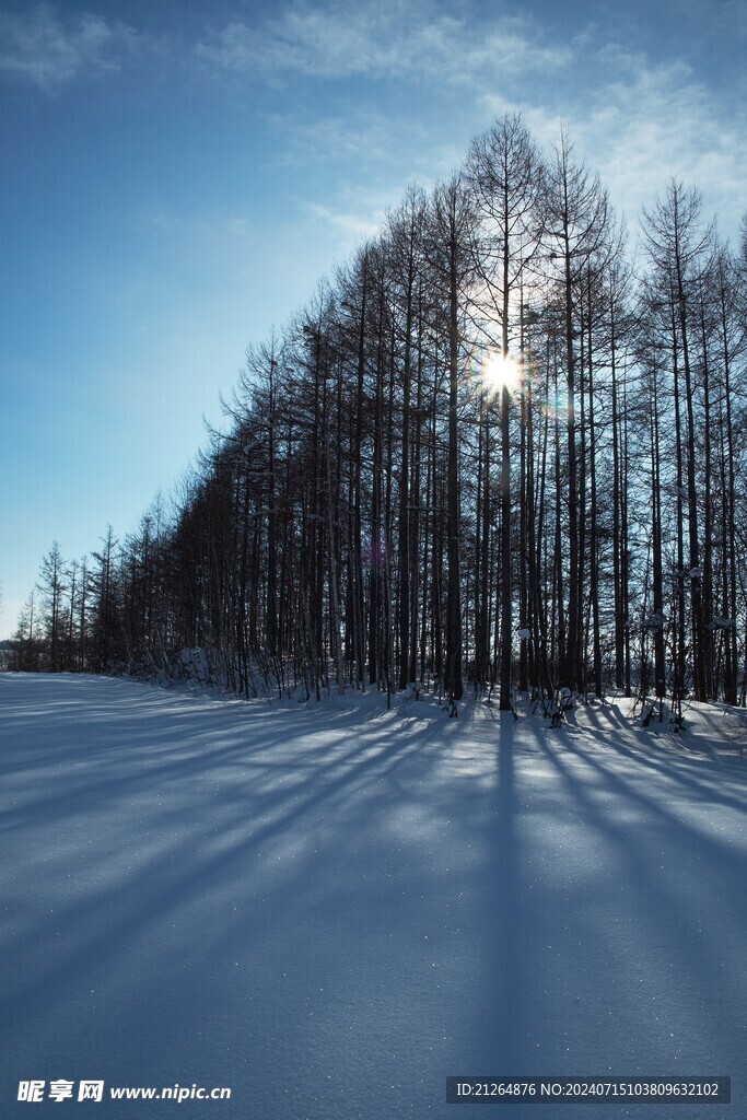 雪景